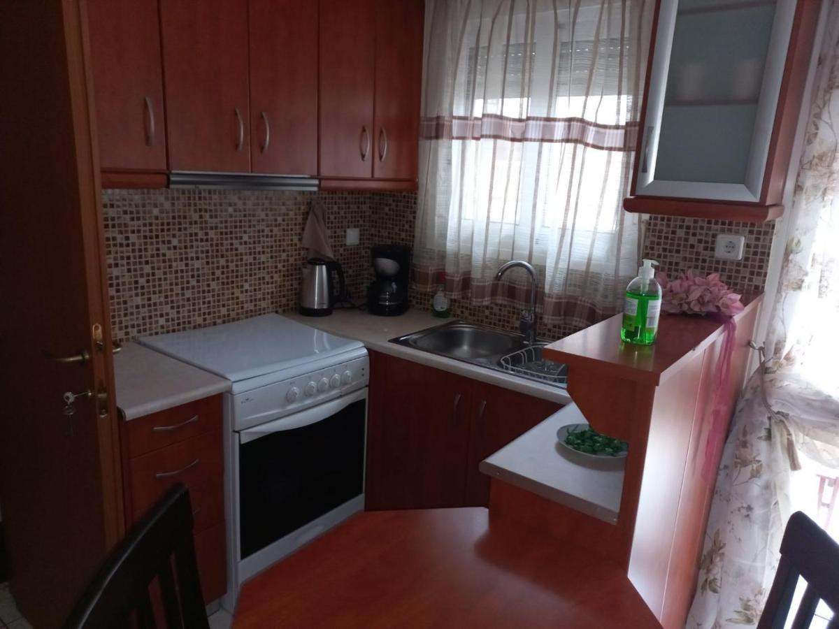 Appartement Ιάνθη Studio à Kardítsa Extérieur photo